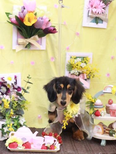 20230319ロイくん